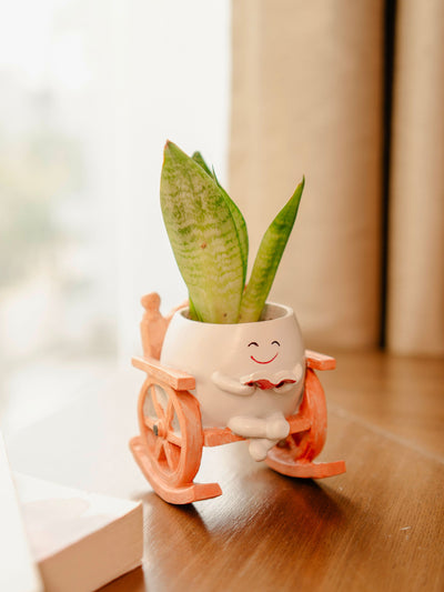 Seat of Stories planter