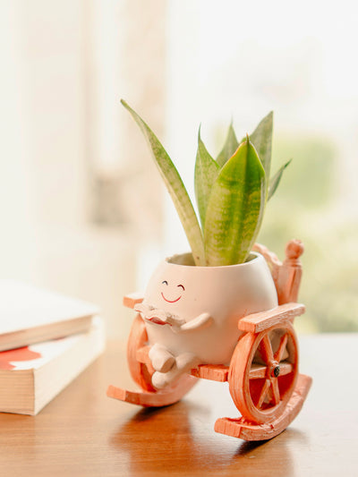 Seat of Stories planter