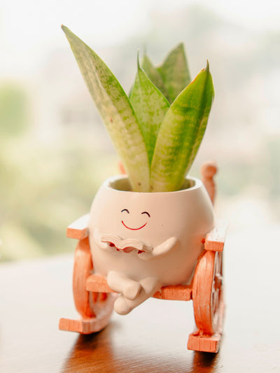 Seat of Stories planter