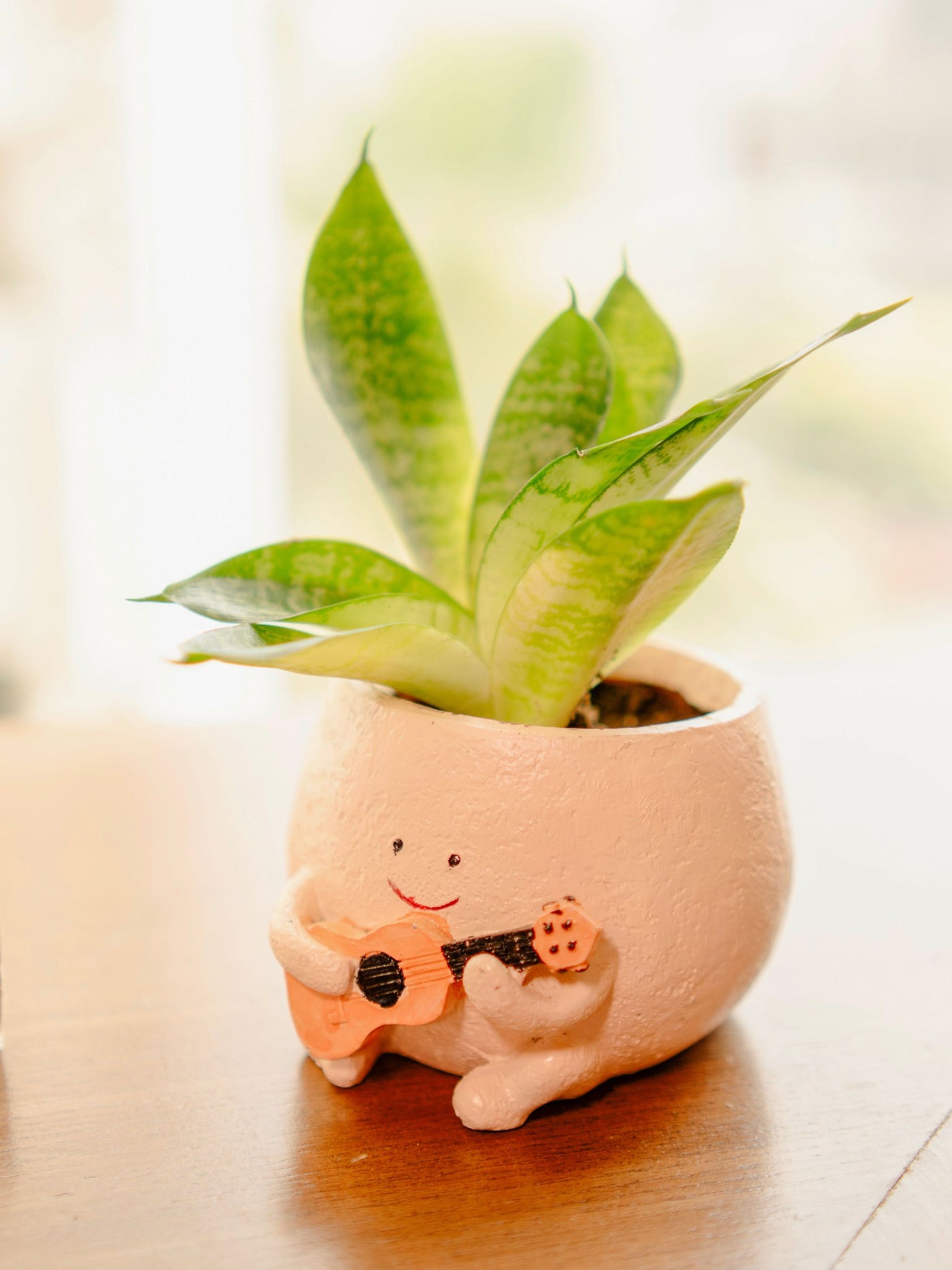 The Jazzy Planter
