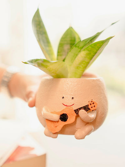 The Jazzy Planter