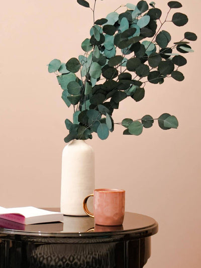 Lucid white vase