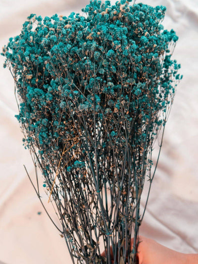 Turquoise Blue baby breaths