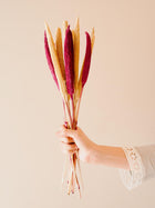 Bazra mini Dual shade - yellow and pink