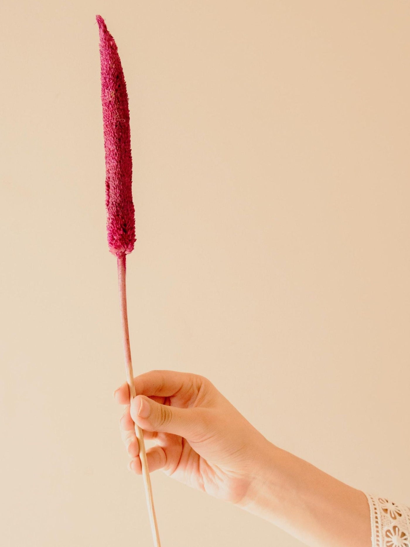 Bazra mini - pink