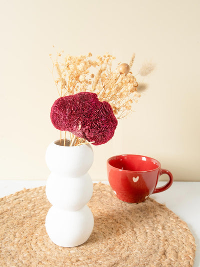 Miniature Garden Combo