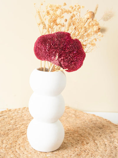 Miniature Garden Combo