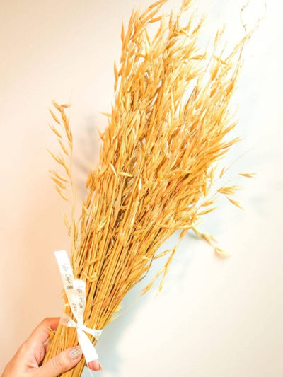 Natural oats bunch