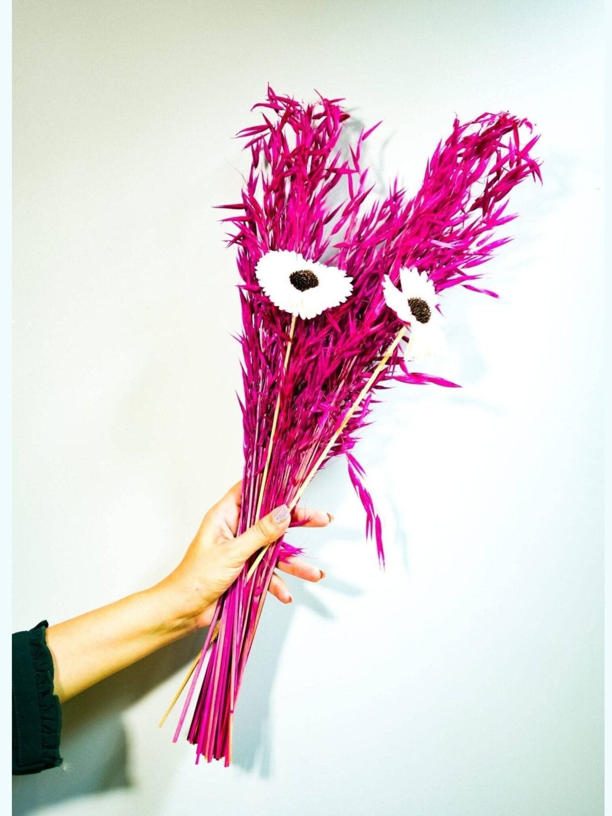 Sunflower Oats bunch