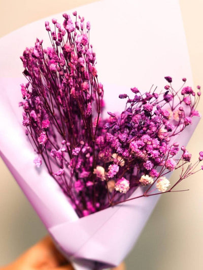 Purple Baby breaths