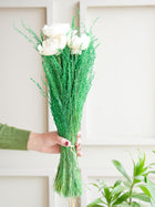 Evergreen bunch