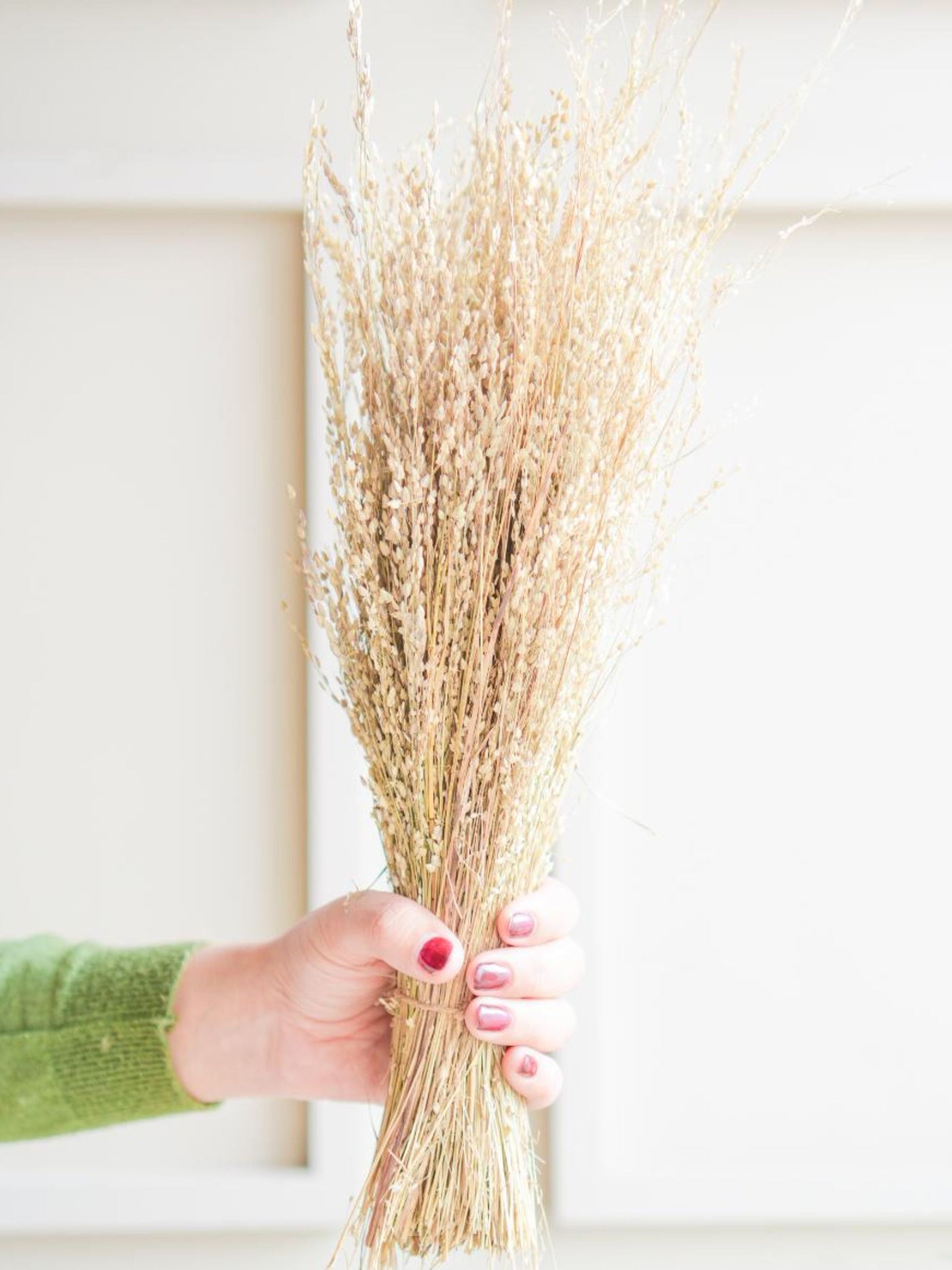 Star grass