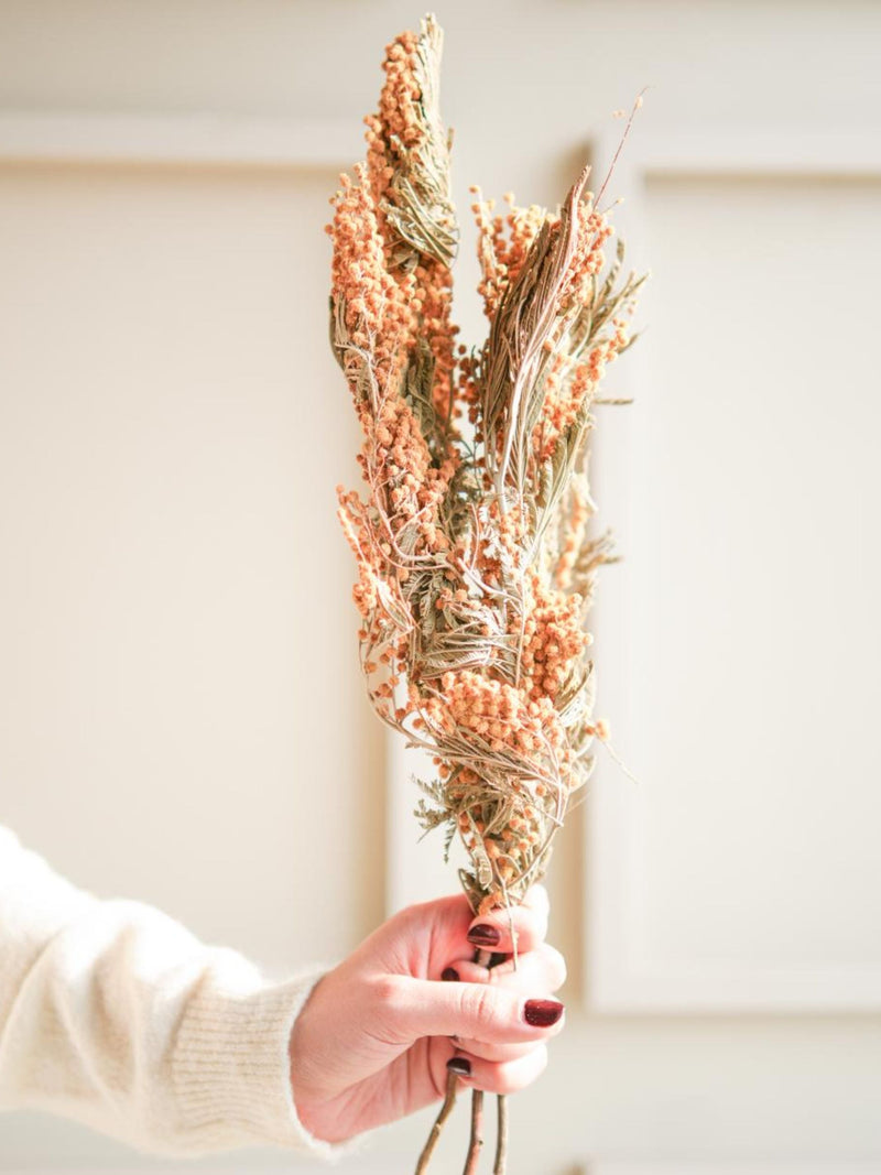 Dried mimosa