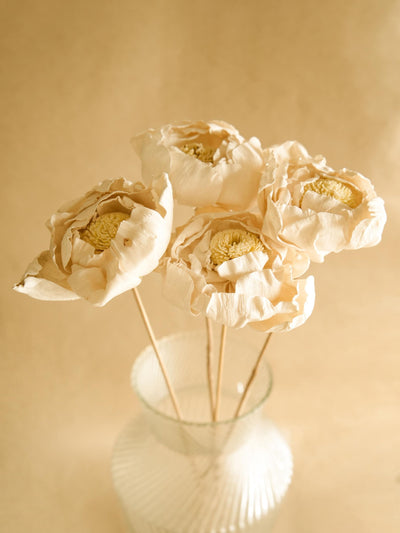 Cabbage Flower