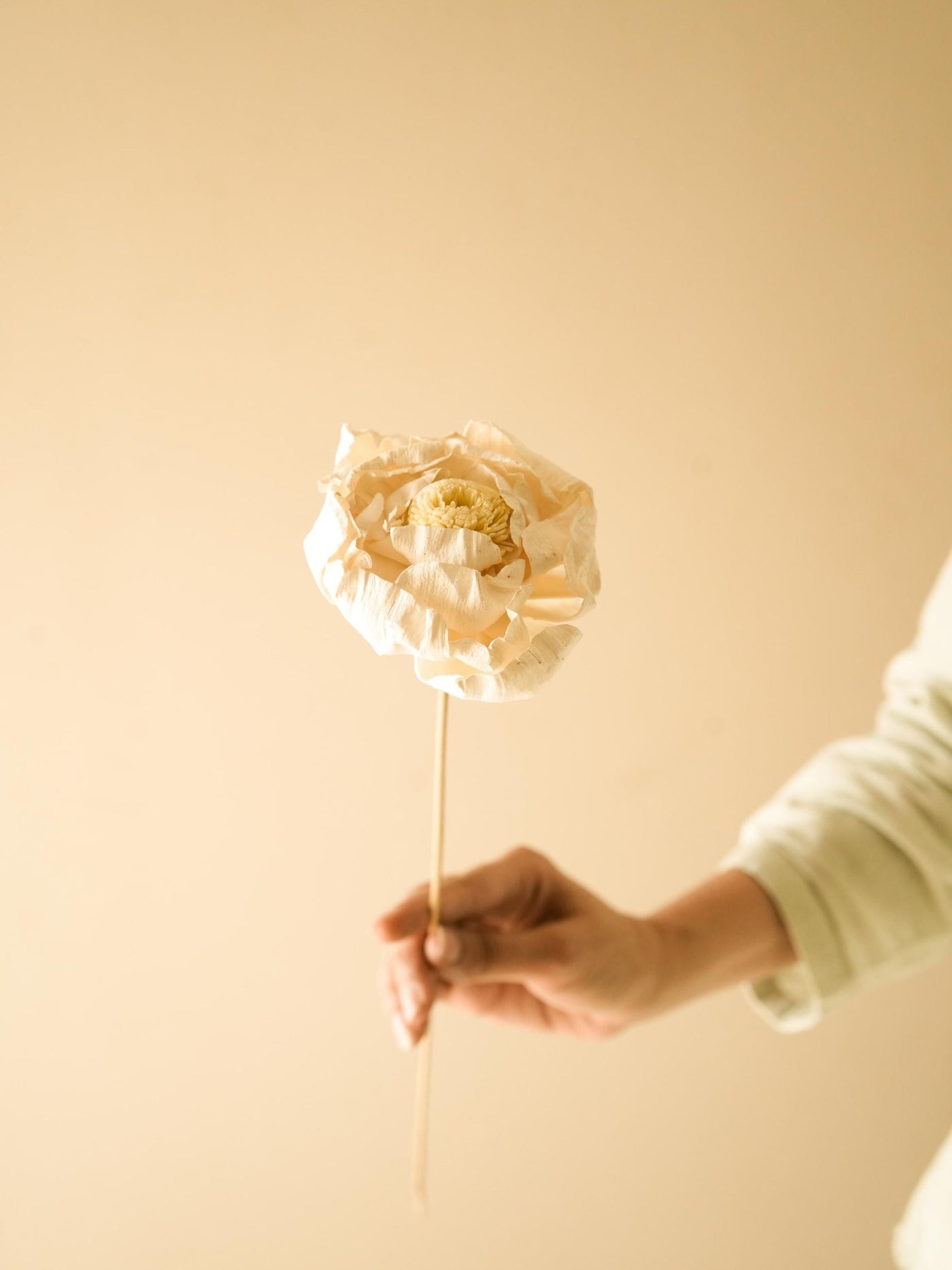 Cabbage Flower