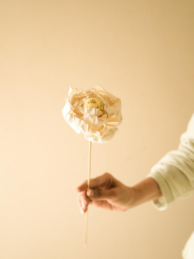 Cabbage Flower