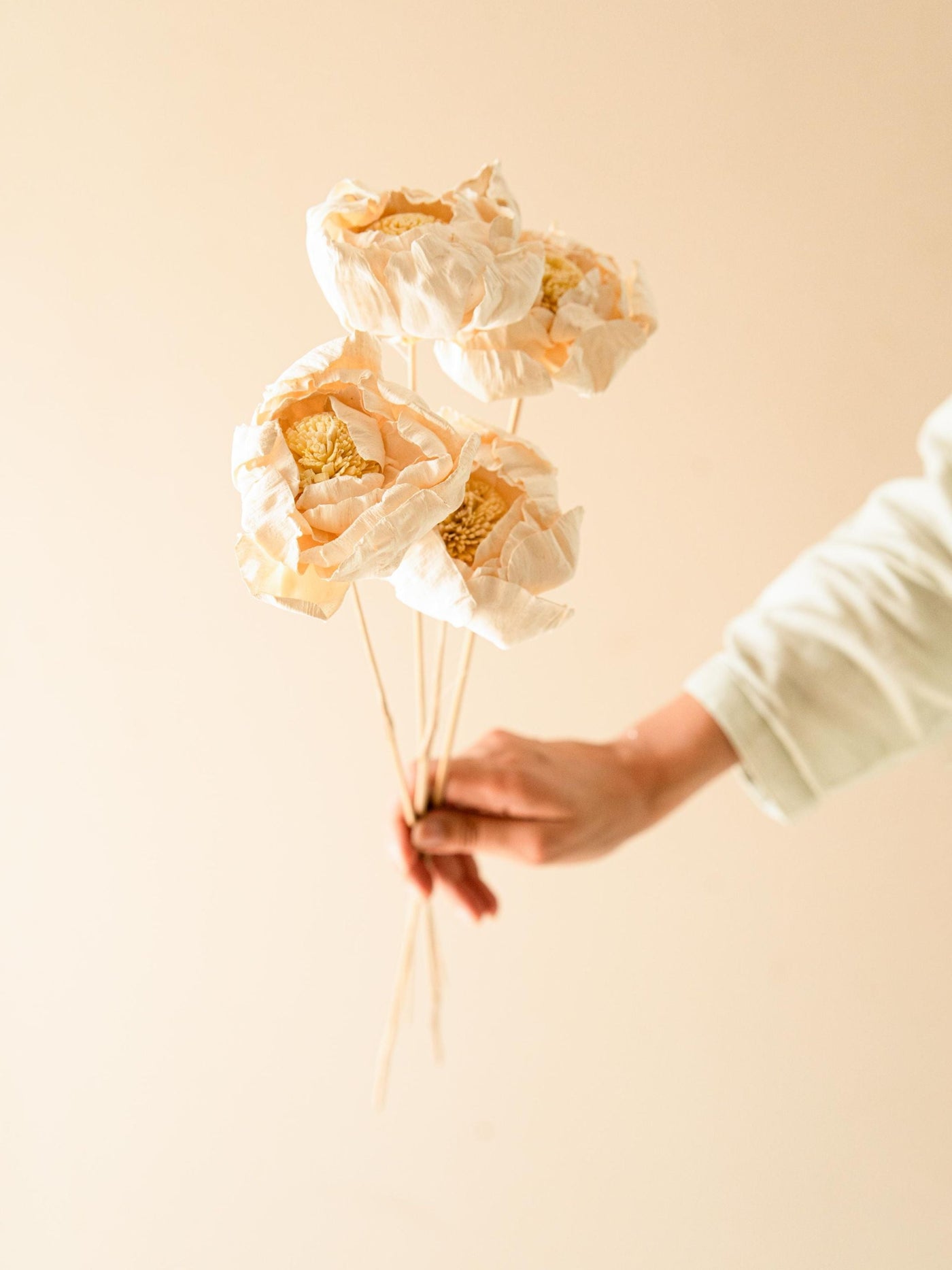 Cabbage Flower