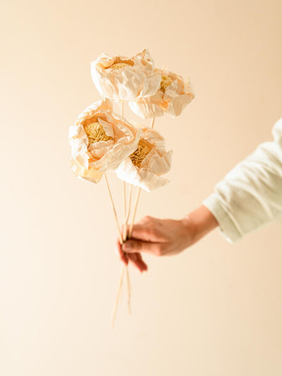 Cabbage Flower