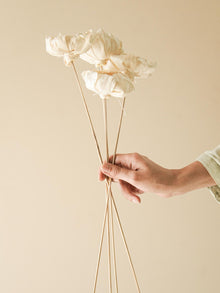 Cabbage Flower