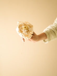 Cabbage Flower