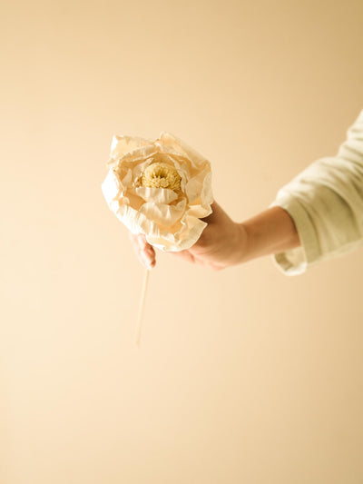 Cabbage Flower