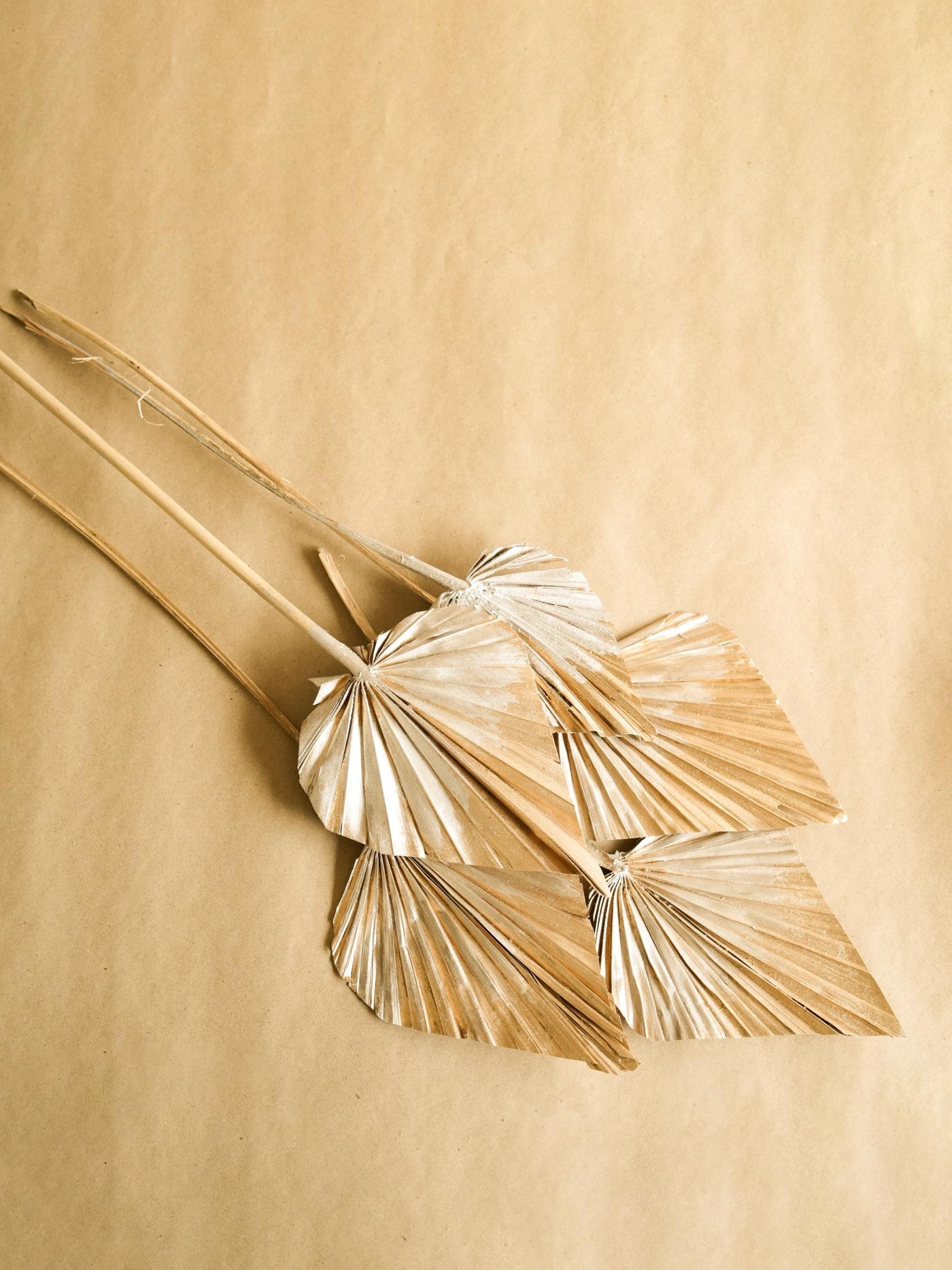 Golden Silver dual tone palm leaves