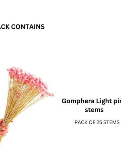 Gomphera set of 25 stems -Light pink