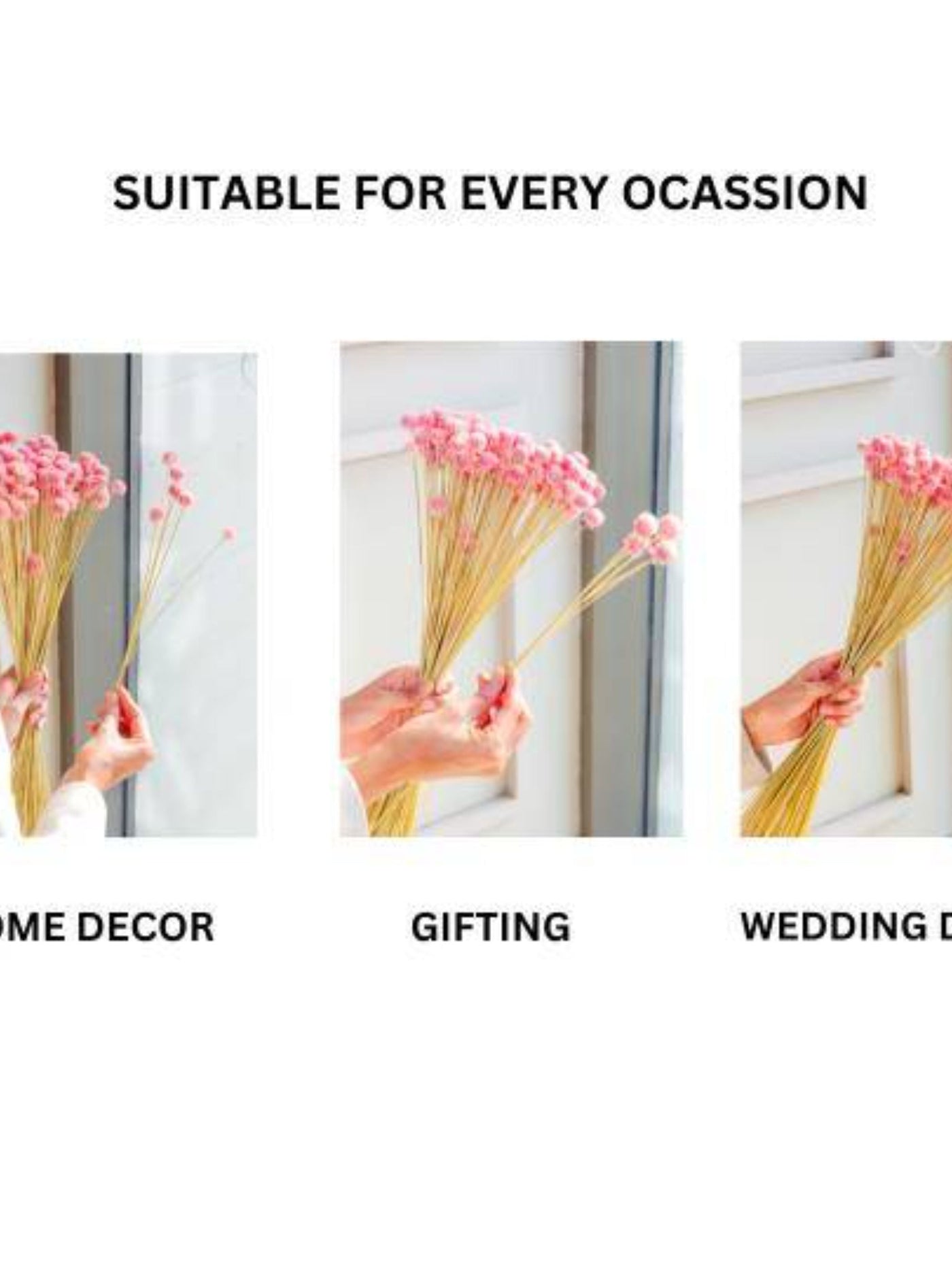 Gomphera set of 25 stems -Light pink