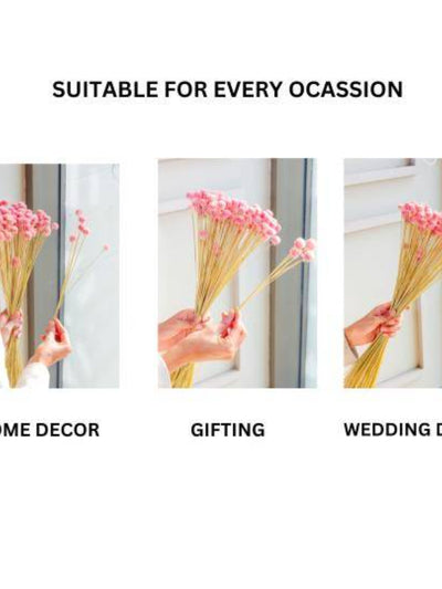 Gomphera set of 25 stems -Light pink