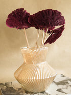Red Sponge mushroom