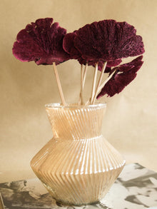 Red Sponge mushroom