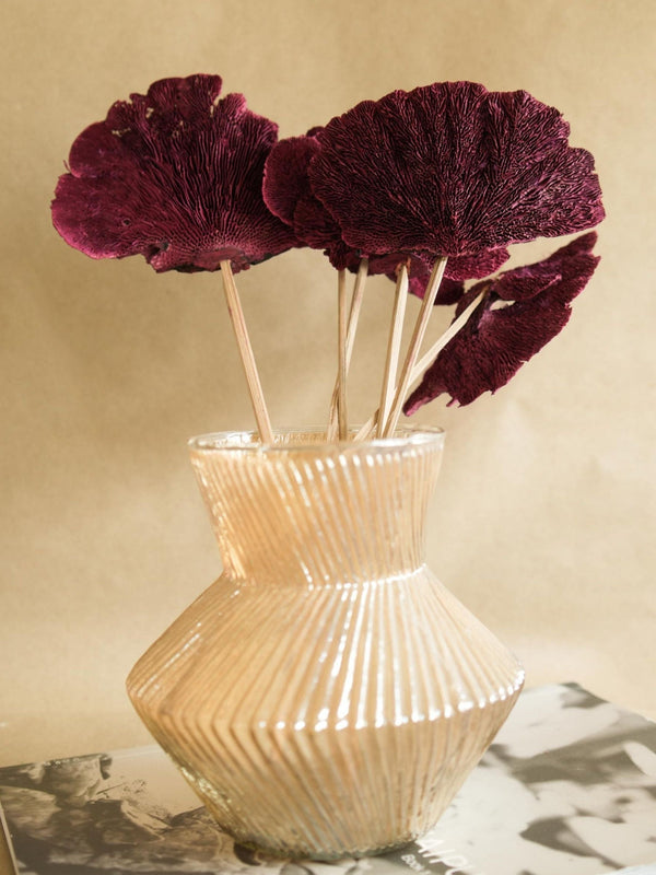 Red Sponge mushroom