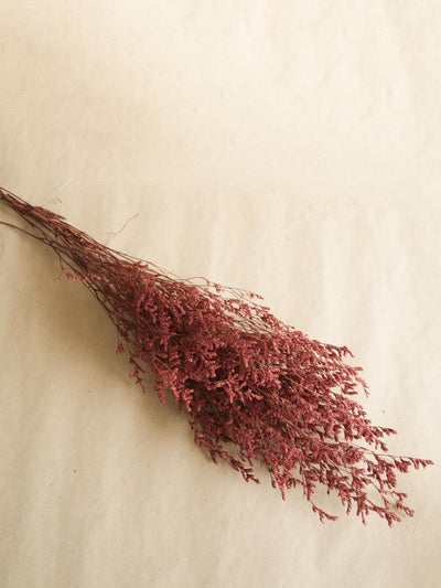 Red Limonium