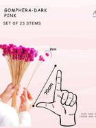 gomphera set of 25 stems -Dark pink