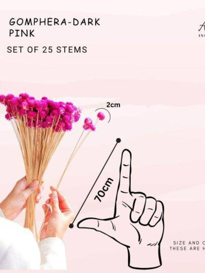 gomphera set of 25 stems -Dark pink