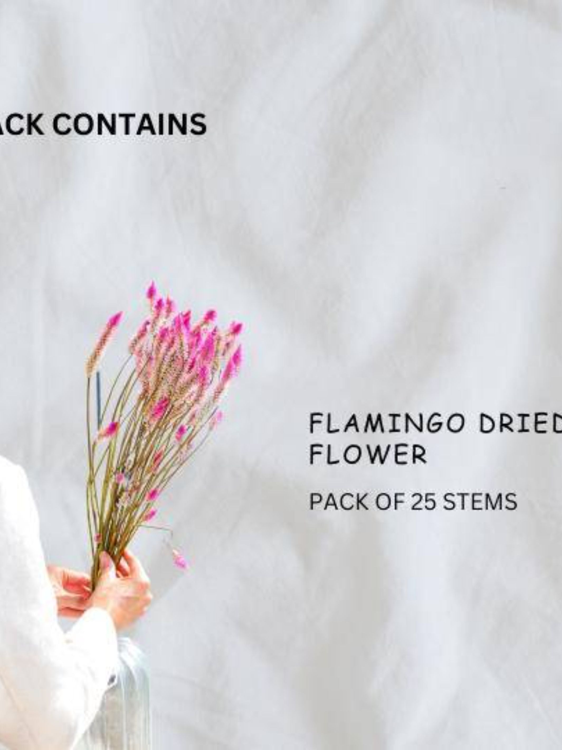 flamingo dried flower set of 25