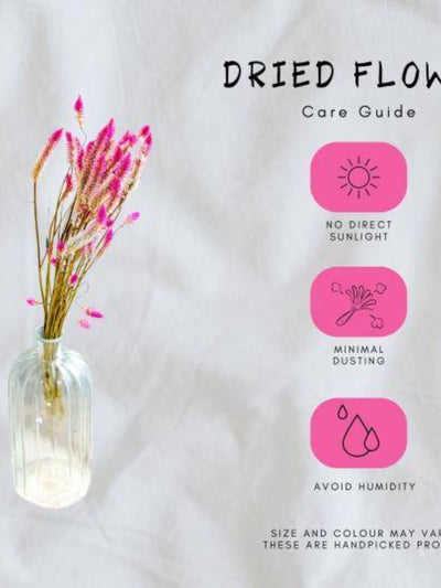 flamingo dried flower set of 25