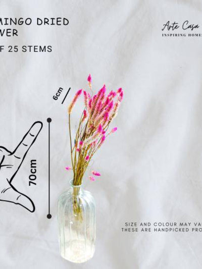 flamingo dried flower set of 25