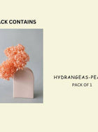 Hydrangeas _Peach