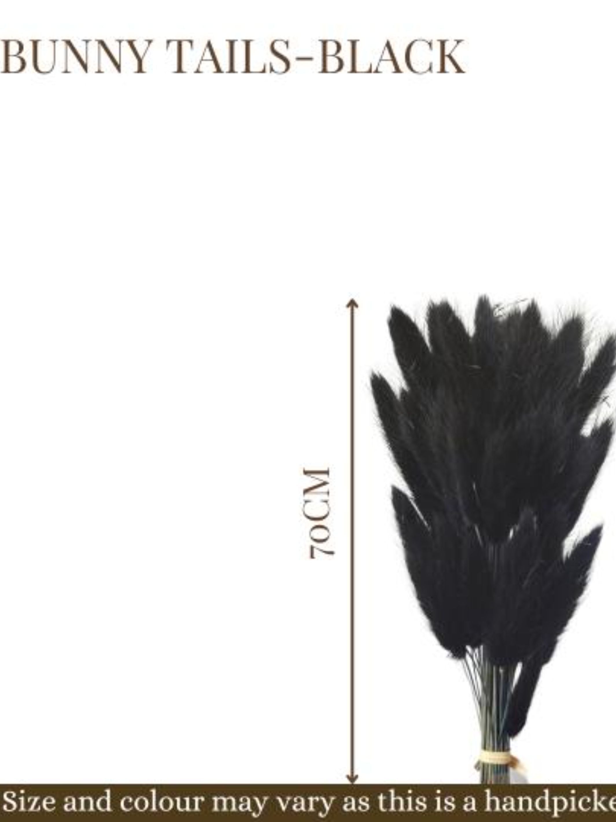 Black Bunny Tails