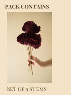 Red Sponge mushroom