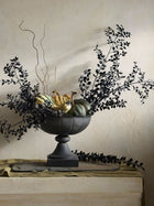 Ruscus- Black