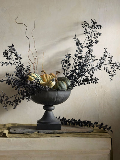 Ruscus- Black