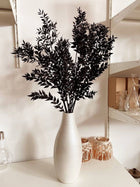 Ruscus- Black