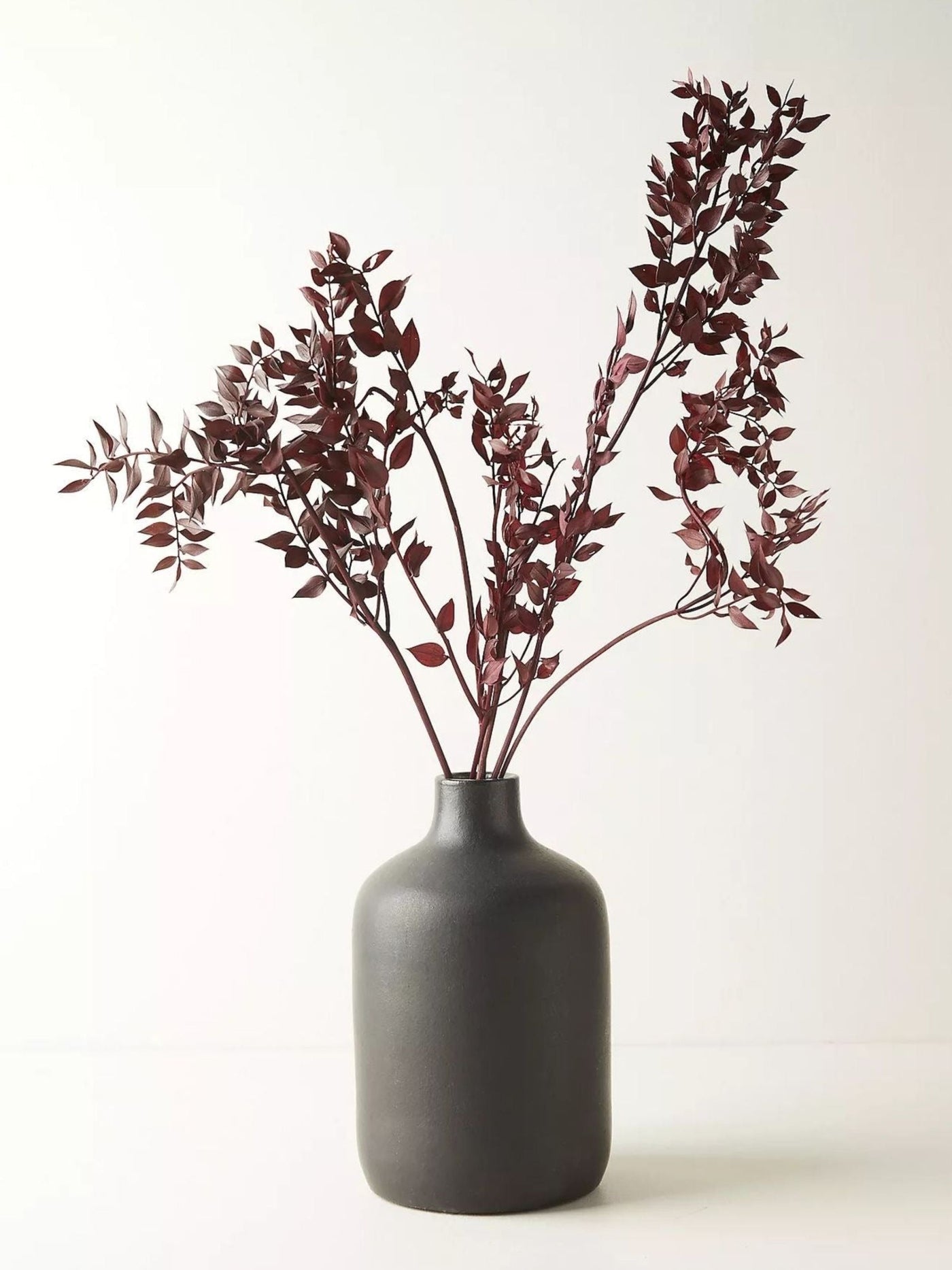 Ruscus brown