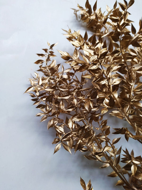 Ruscus-Golden