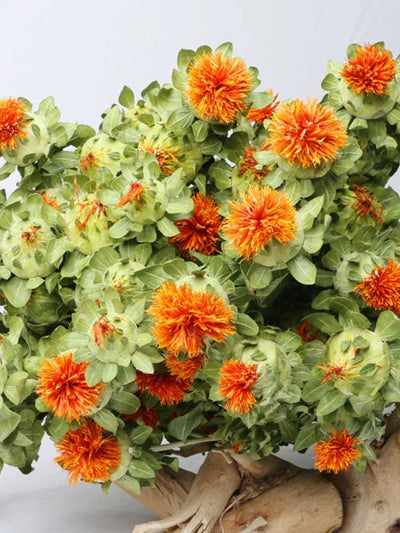 Dried safflower