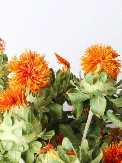 Dried safflower