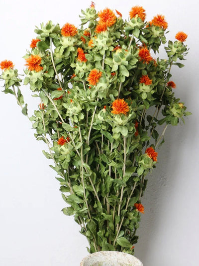 Dried safflower
