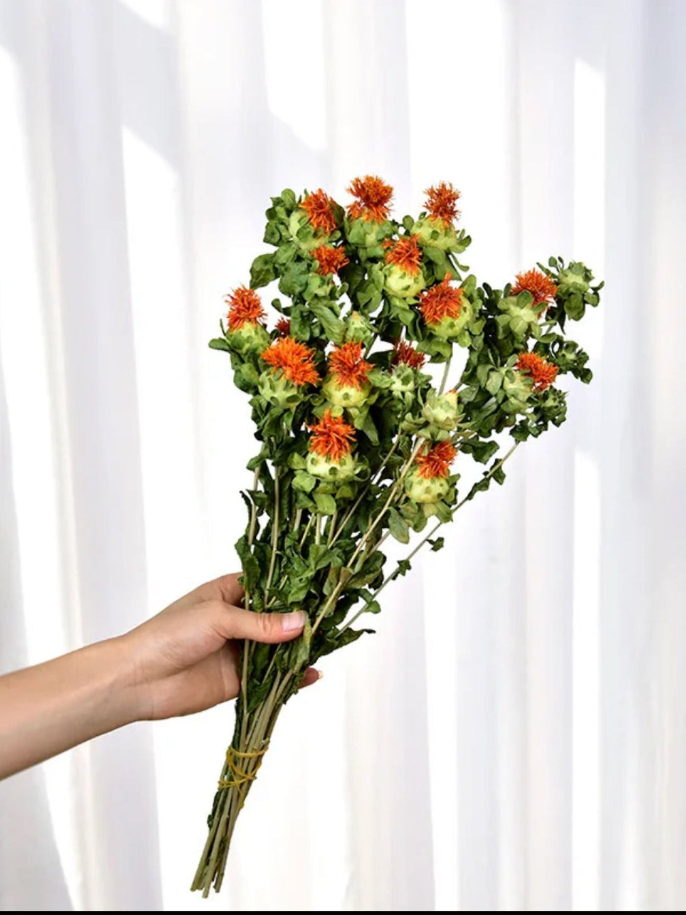 Dried safflower
